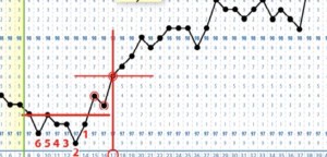 preg chart